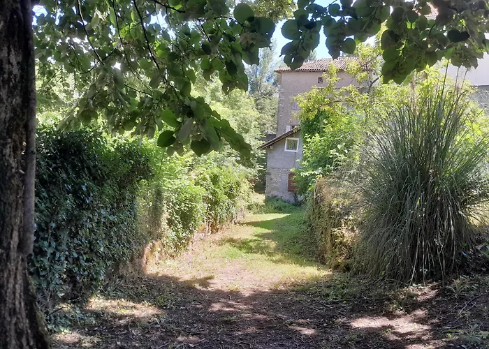 Privatif En Bord De Riviere Figeac